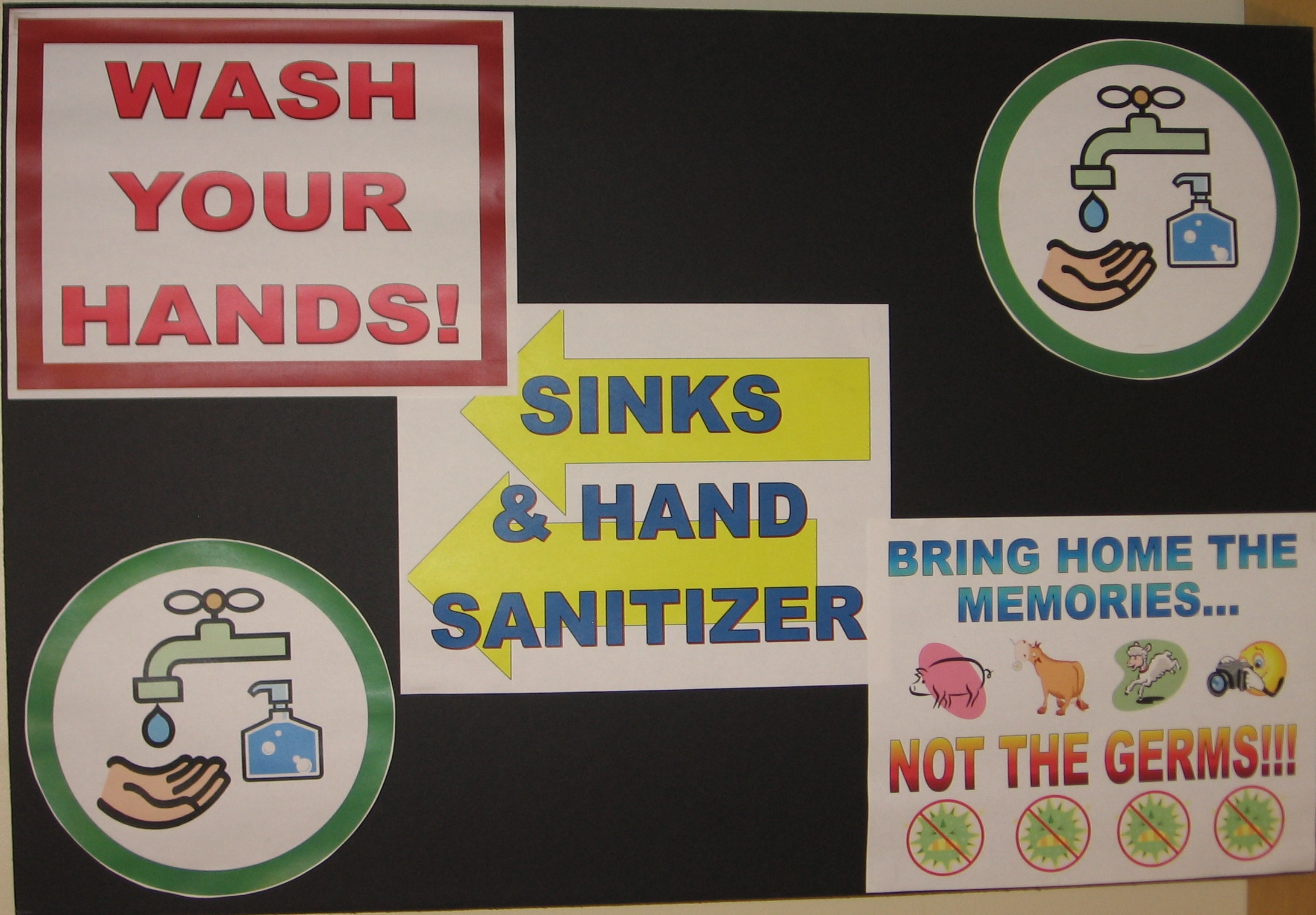 Do You Wash Your Hands At A Petting Zoo Worms Germs Blog