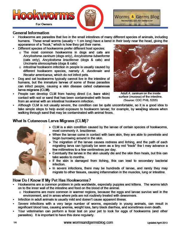 Hookworm info sheet