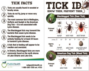 tick copy