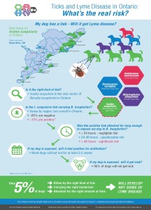 OAHN Infographic - Ticks & Lyme - GF2 20160512