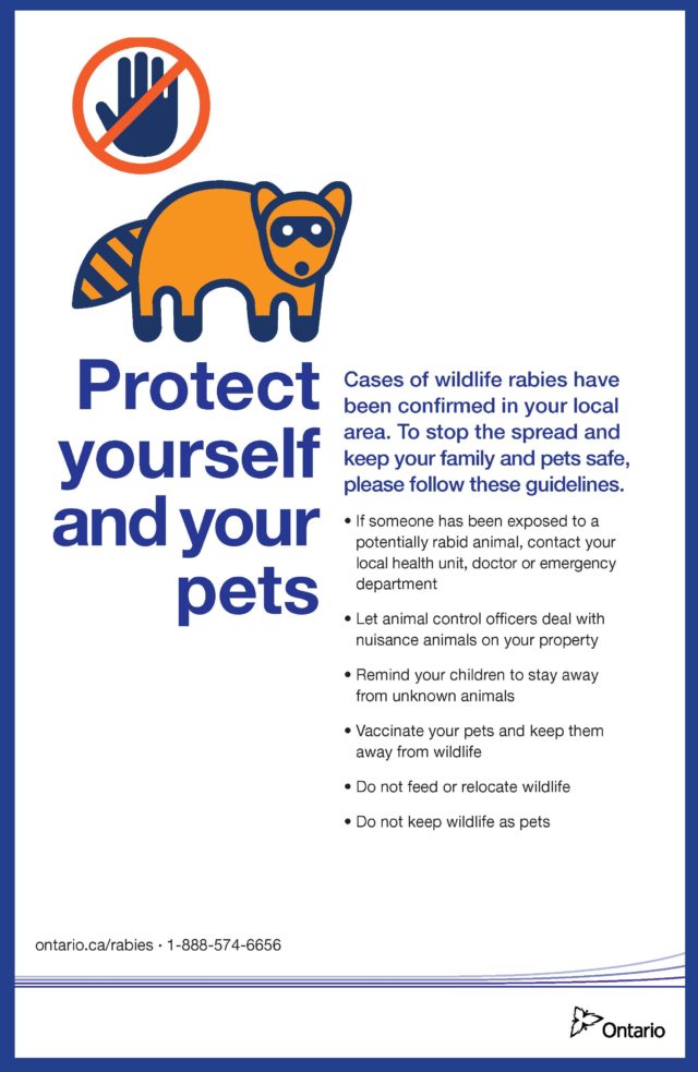 Rabies Posters & Latest Update | Worms & Germs Blog