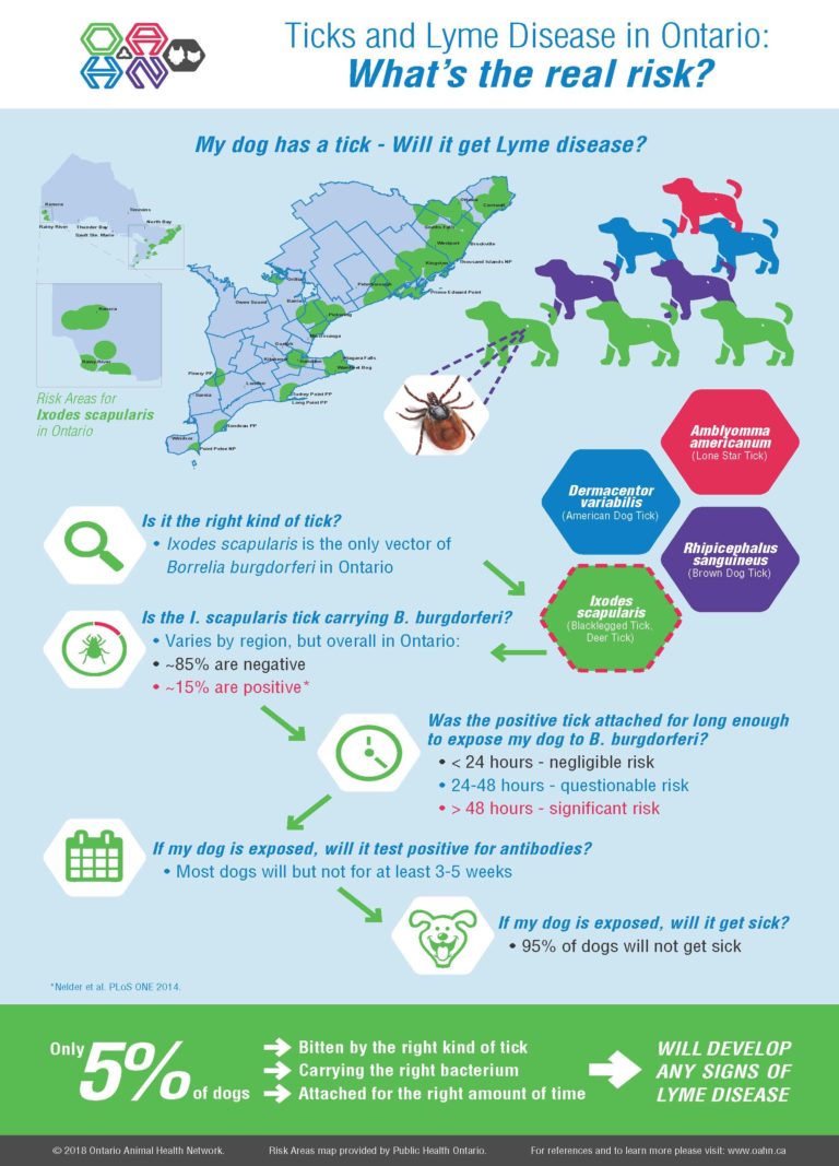 Updated Lyme disease risk map and infographic Worms & Germs Blog
