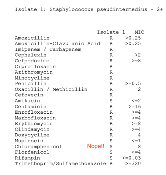 Labgs Germ New CLSI Breakpoints For Veterinary Medicine: How to Interpret Results ...