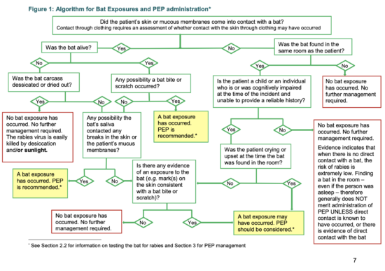 Bats and Rabies Risk Assessments | Worms & Germs Blog